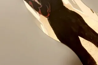 ashley winter - 25 - Image 1